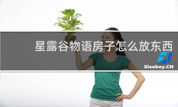 星露谷物语房子怎么放东西