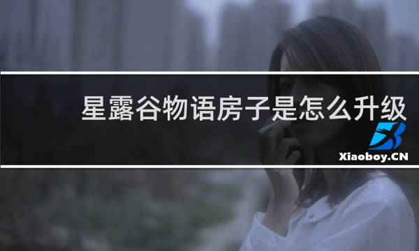 星露谷物语房子是怎么升级