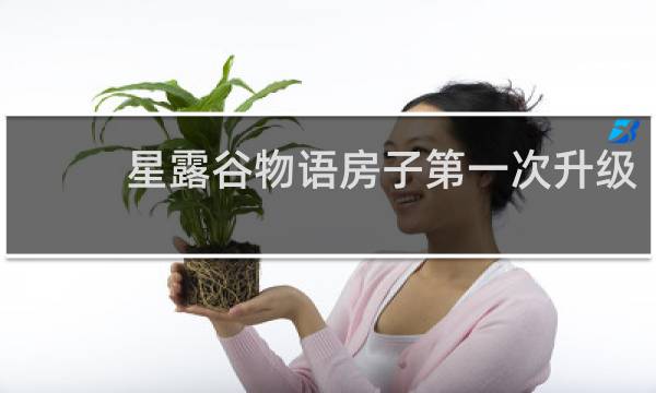 星露谷物语房子第一次升级