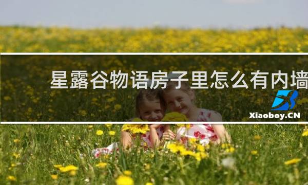 星露谷物语房子里怎么有内墙