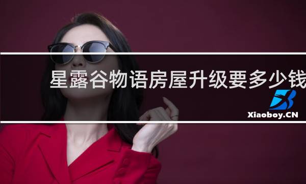 星露谷物语房屋升级要多少钱
