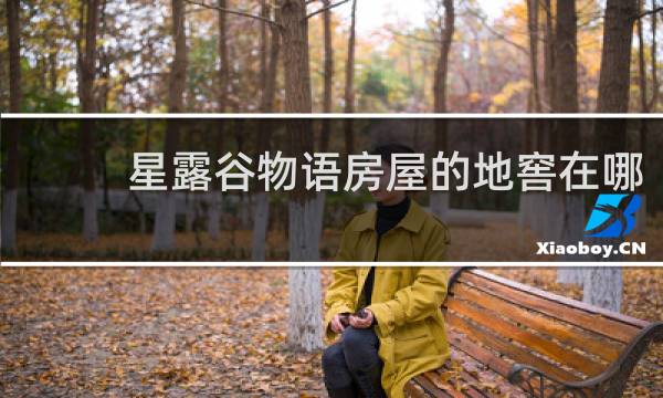 星露谷物语房屋的地窖在哪