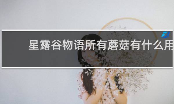 星露谷物语所有蘑菇有什么用