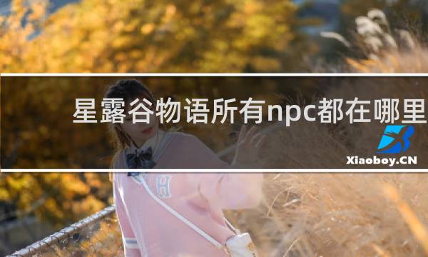 星露谷物语所有npc都在哪里