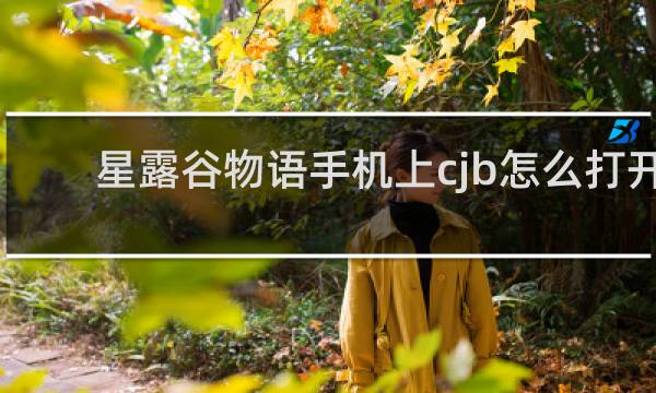 星露谷物语手机上cjb怎么打开