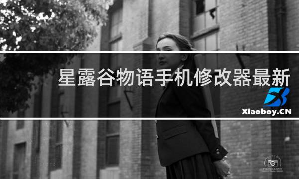 星露谷物语手机修改器最新