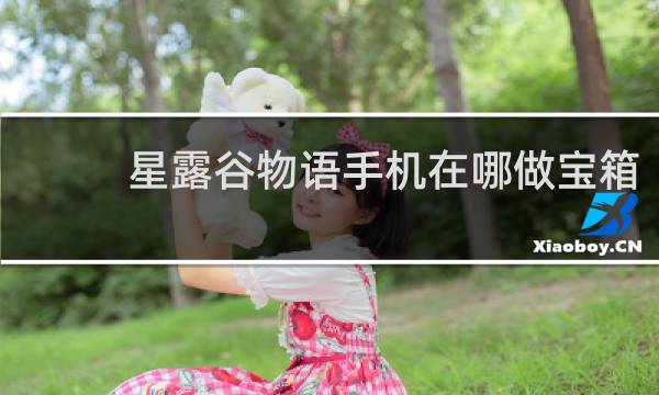 星露谷物语手机在哪做宝箱