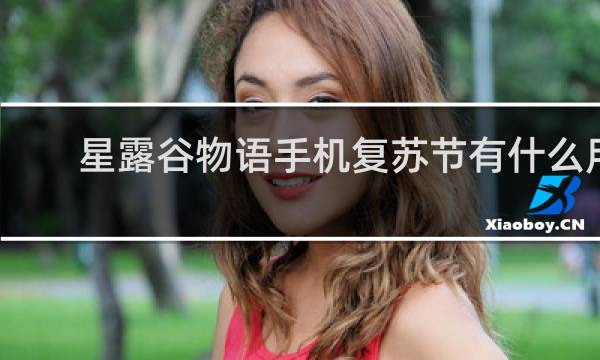 星露谷物语手机复苏节有什么用
