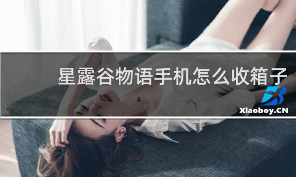 星露谷物语手机怎么收箱子
