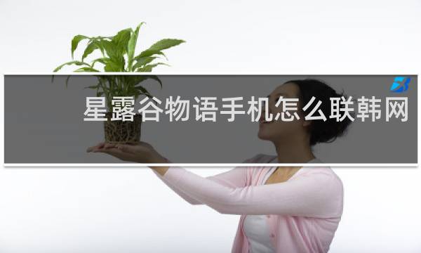 星露谷物语手机怎么联韩网