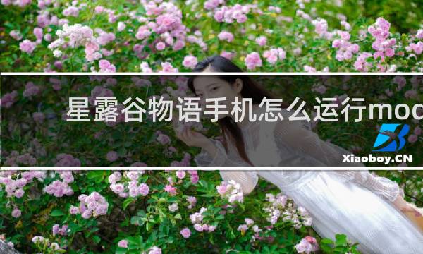 星露谷物语手机怎么运行mod