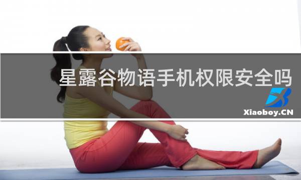 星露谷物语手机权限安全吗