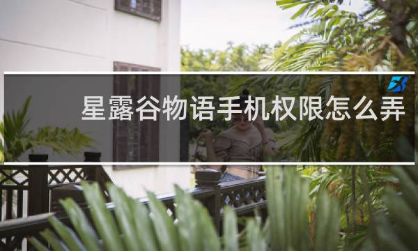 星露谷物语手机权限怎么弄