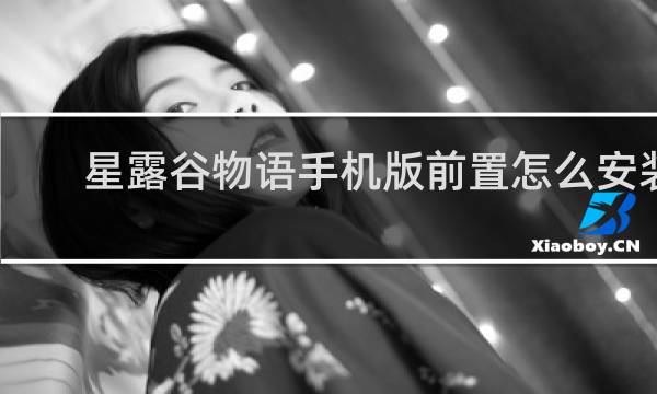 星露谷物语手机版前置怎么安装