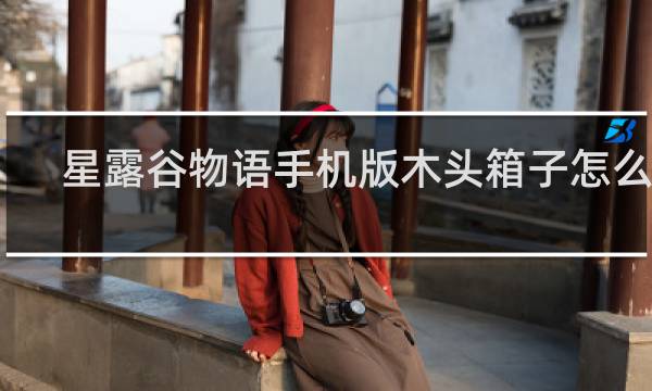 星露谷物语手机版木头箱子怎么做