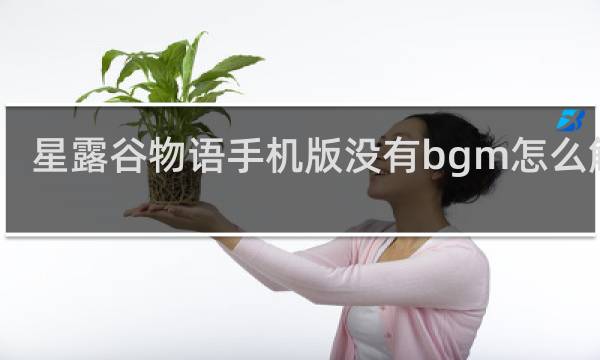 星露谷物语手机版没有bgm怎么解决
