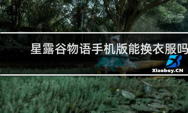 星露谷物语手机版能换衣服吗