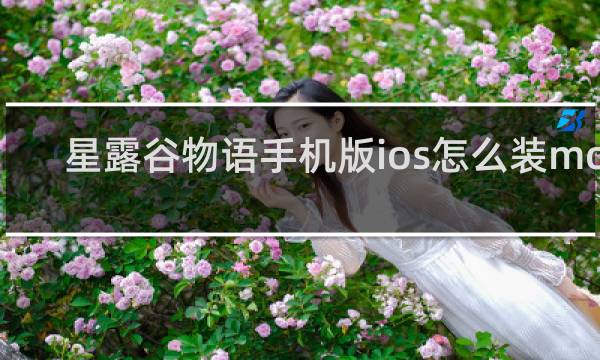 星露谷物语手机版ios怎么装mod