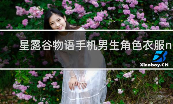星露谷物语手机男生角色衣服n网