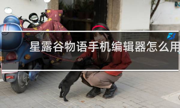 星露谷物语手机编辑器怎么用