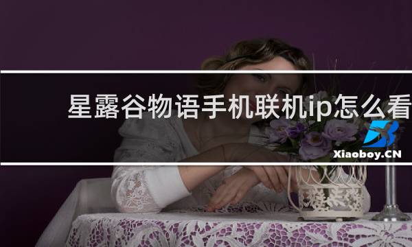 星露谷物语手机联机ip怎么看