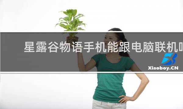 星露谷物语手机能跟电脑联机吗