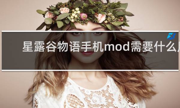 星露谷物语手机mod需要什么用