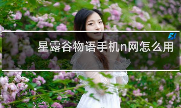 星露谷物语手机n网怎么用