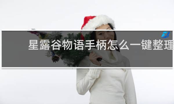 星露谷物语手柄怎么一键整理