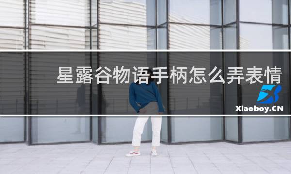 星露谷物语手柄怎么弄表情