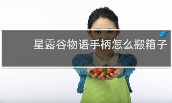 星露谷物语手柄怎么搬箱子