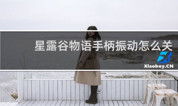 星露谷物语手柄振动怎么关