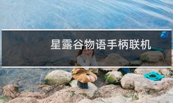 星露谷物语手柄联机