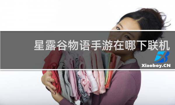星露谷物语手游在哪下联机