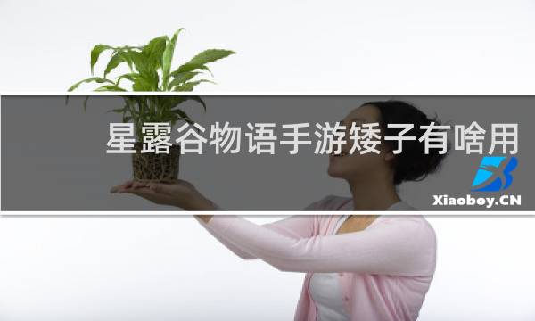 星露谷物语手游矮子有啥用