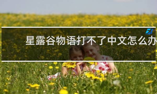 星露谷物语打不了中文怎么办