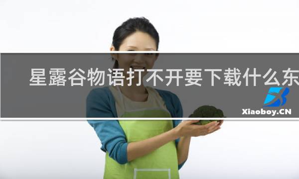 星露谷物语打不开要下载什么东西