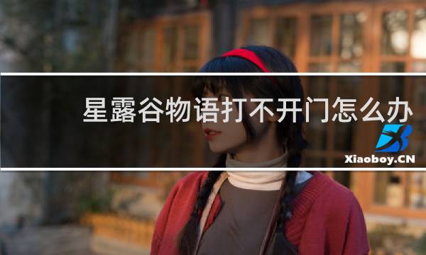 星露谷物语打不开门怎么办