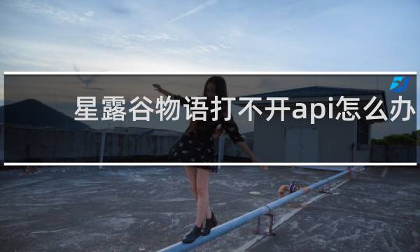 星露谷物语打不开api怎么办