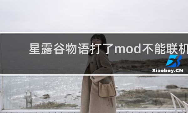 星露谷物语打了mod不能联机