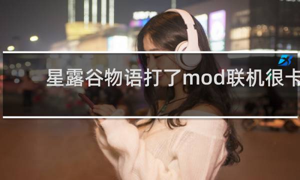 星露谷物语打了mod联机很卡