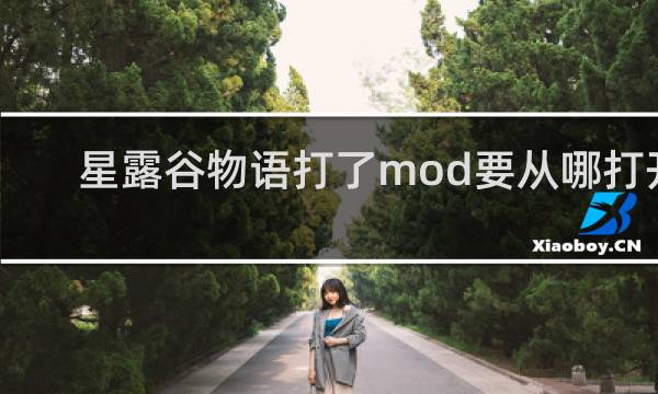 星露谷物语打了mod要从哪打开