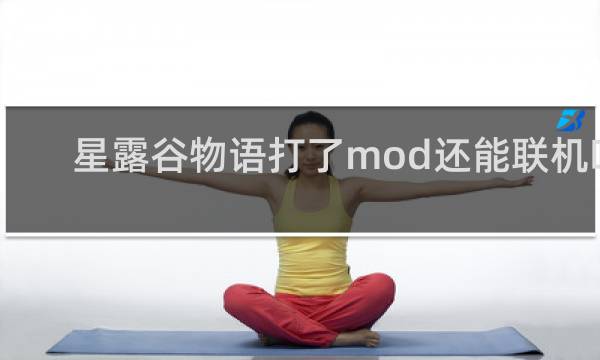 星露谷物语打了mod还能联机吗