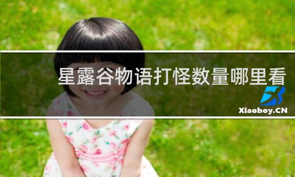 星露谷物语打怪数量哪里看