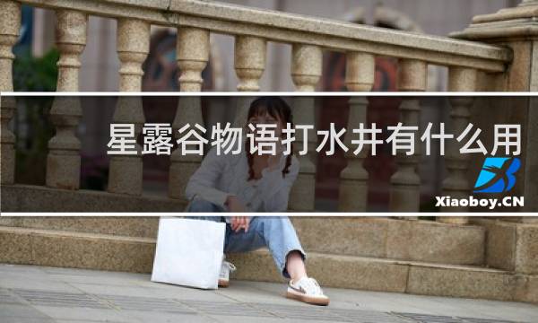 星露谷物语打水井有什么用