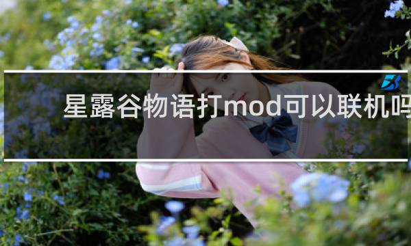 星露谷物语打mod可以联机吗
