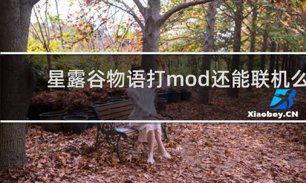 星露谷物语打mod还能联机么