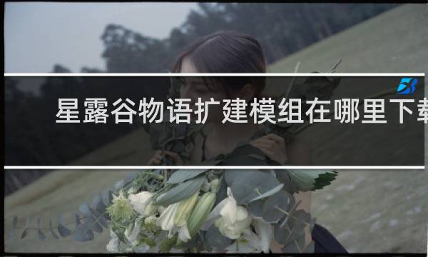 星露谷物语扩建模组在哪里下载