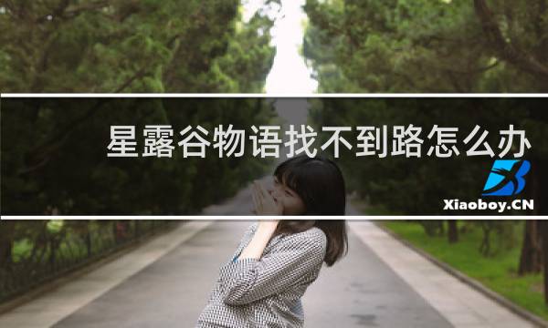 星露谷物语找不到路怎么办