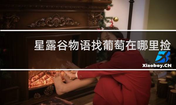 星露谷物语找葡萄在哪里捡